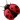 СИТ 30