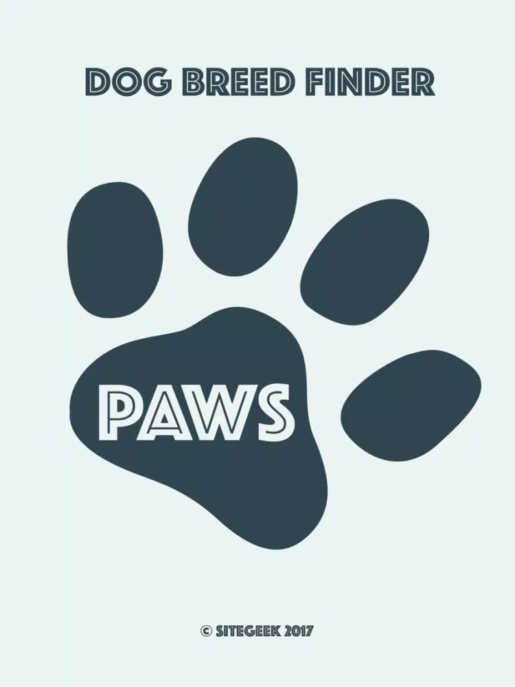 Paws -Dog Breed Identifier - Camera AI Recognition iPad  スクリーンショット