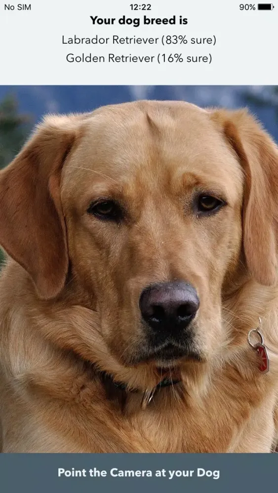 Paws -Dog Breed Identifier - Camera AI Recognition スクリーンショット