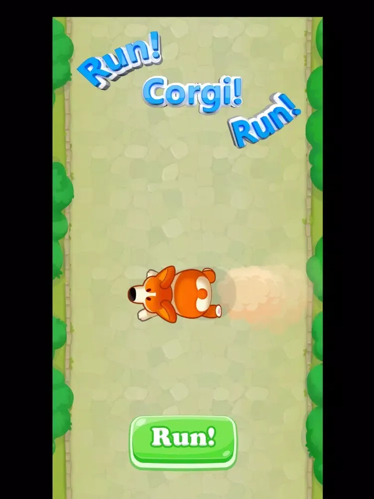 Zrzuty ekranu Run Corgi Run iPad 
