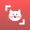 Cat Scanner: Breed Recognition