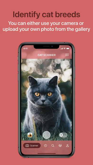 Cat Scanner Screenshots