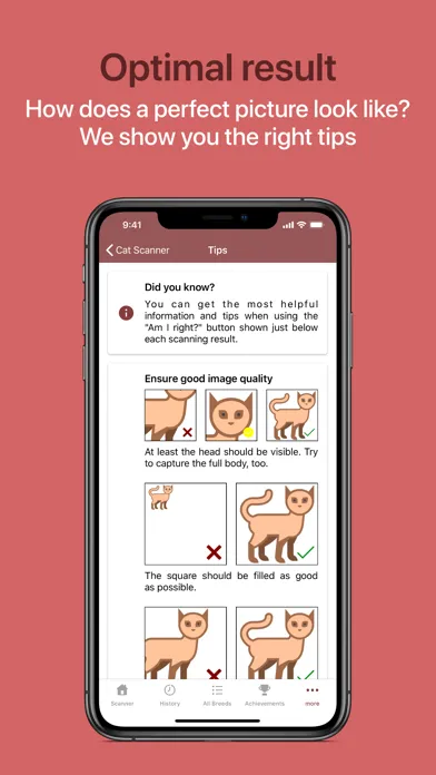 Cat Scanner Screenshots
