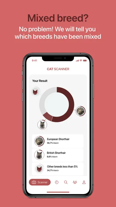 Cat Scanner Screenshots