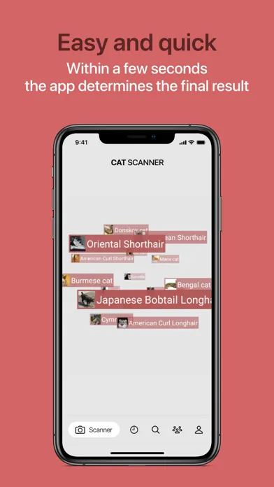 Cat Scanner Screenshots