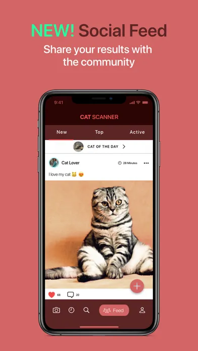 Cat Scanner Screenshots