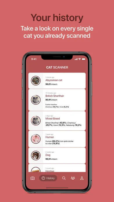 Cat Scanner Screenshots
