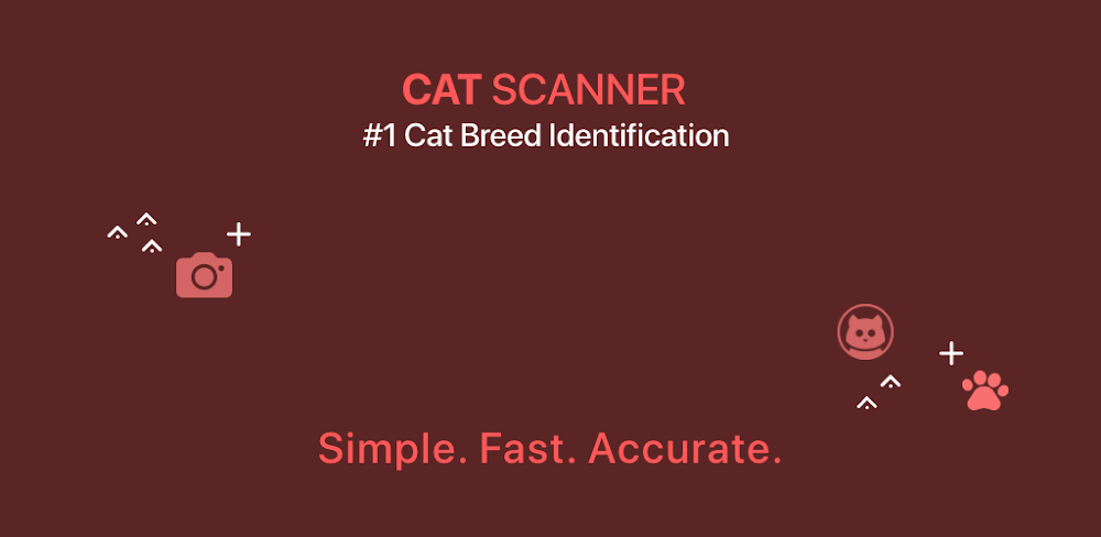 Cat Scanner