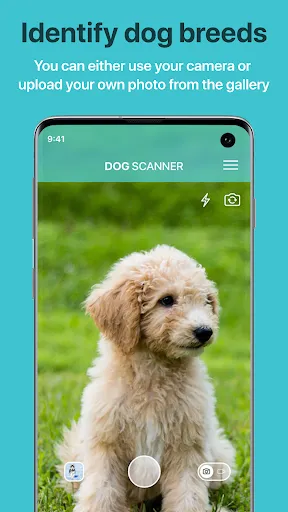 صور Dog Scanner: Breed Recognition