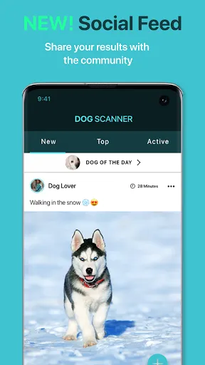 صور Dog Scanner: Breed Recognition