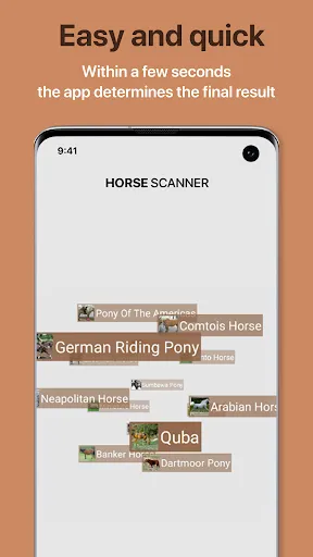 صور Horse Scanner