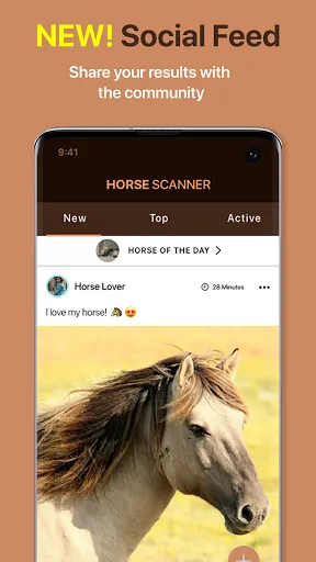 صور Horse Scanner