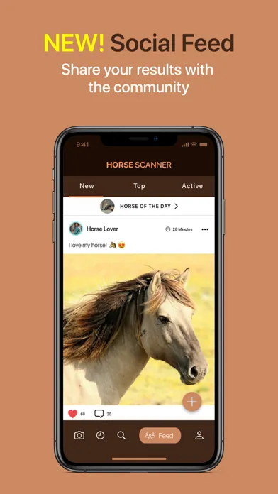 Tangkapan layar Horse Scanner