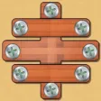 Funny Bolt Puzzle