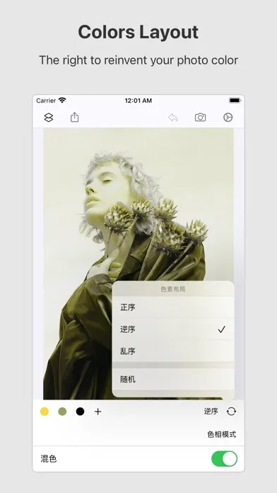 تصاویر Picsso - colorize the photo