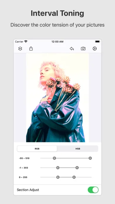 تصاویر Picsso - colorize the photo