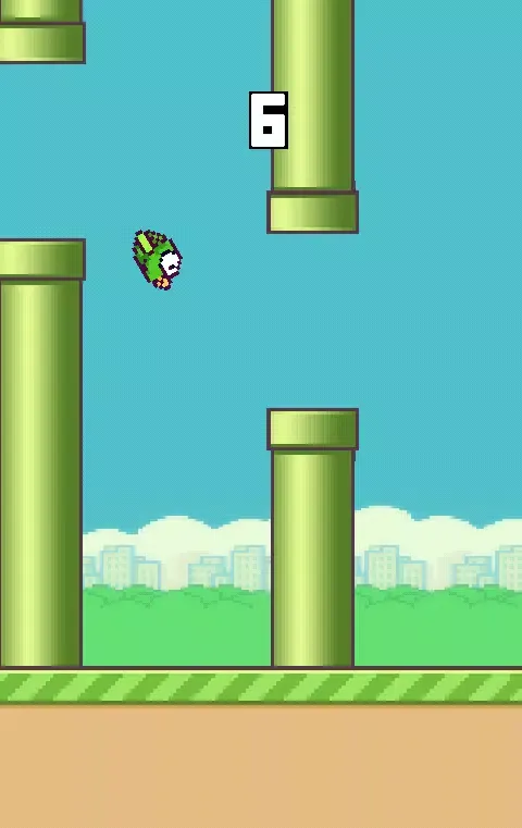 Yolo Bird Screenshots