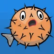 Blow Fish Blow Fish