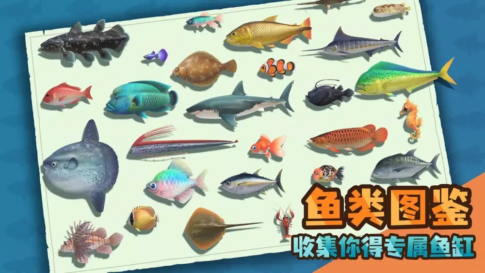 实况赶海 Screenshots