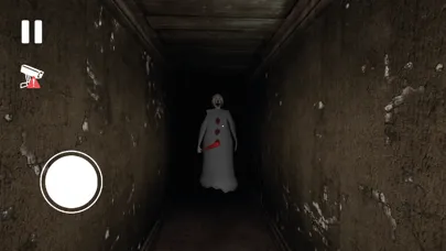 Granny's Butcher Shop スクリーンショット
