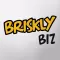 Briskly Biz