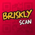 Briskly Scan Briskly Scan