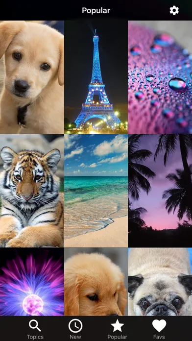 Wallpapers HD for iPhone!应用截图