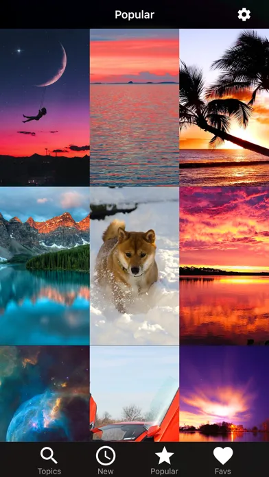 Wallpapers HD for iPhone!应用截图