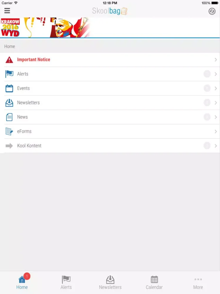 World Youth Day Poland 2016 iPad  Ekran Görüntüleri