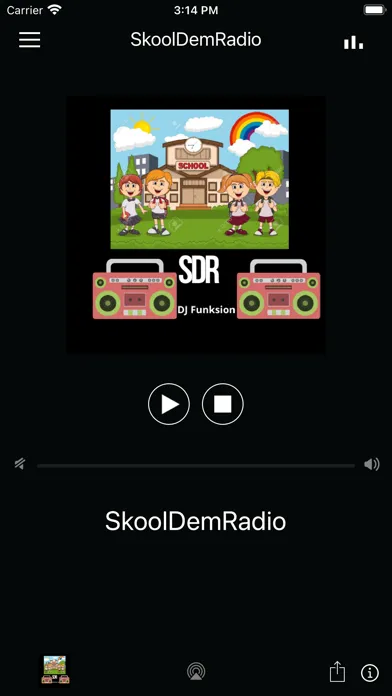Screenshot di SkoolDemRadio2