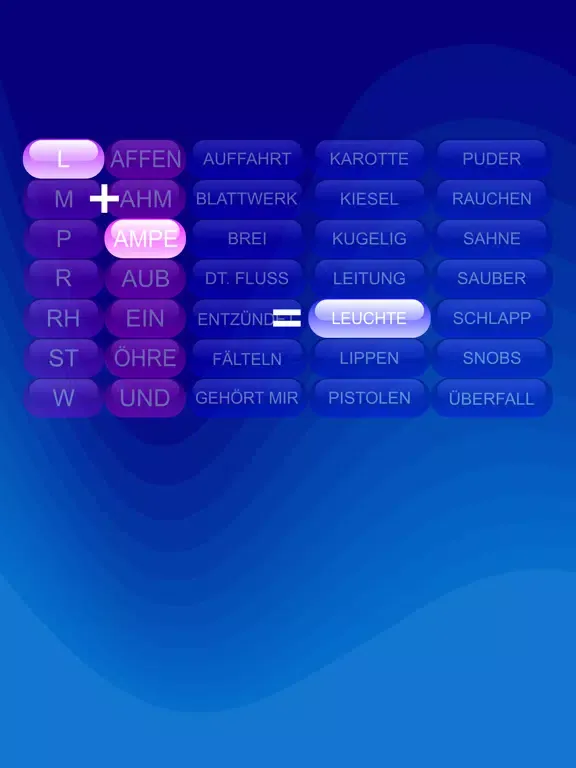 Zrzuty ekranu Reimsteine iPad 