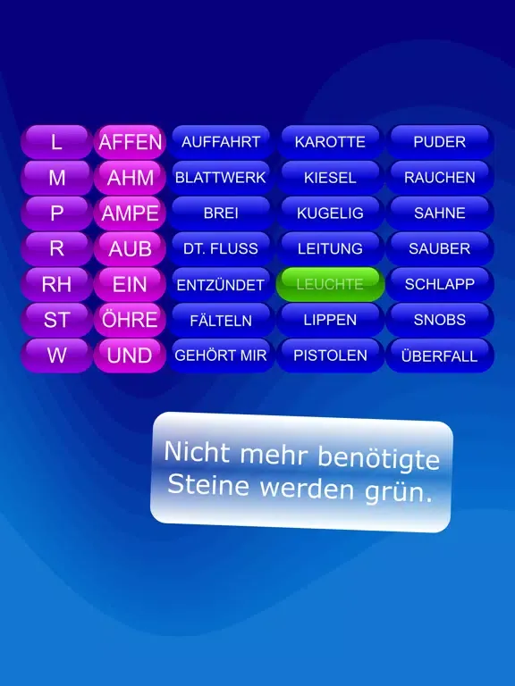 Zrzuty ekranu Reimsteine iPad 