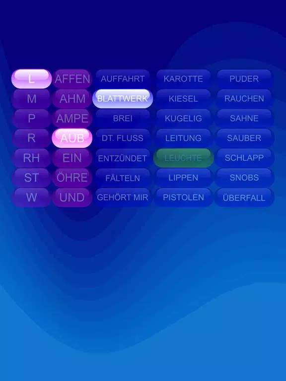 Zrzuty ekranu Reimsteine iPad 