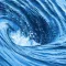 WhirlForums: Australian Forums