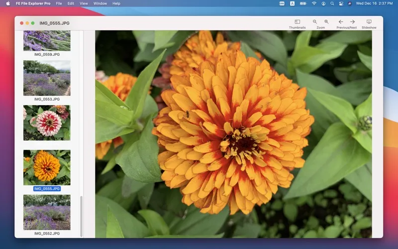 FE File Explorer Pro应用截图
