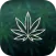 The Green Life