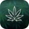 The Green Life