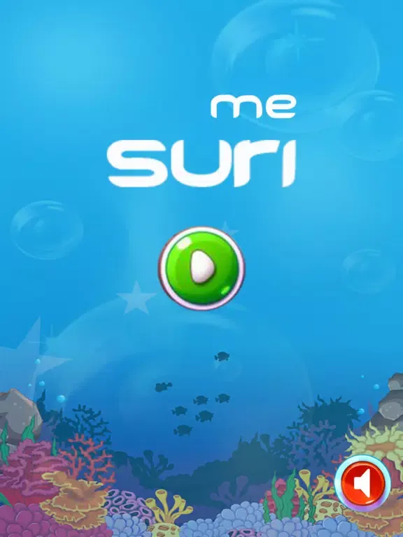 mesuri iPad  Ekran Görüntüleri