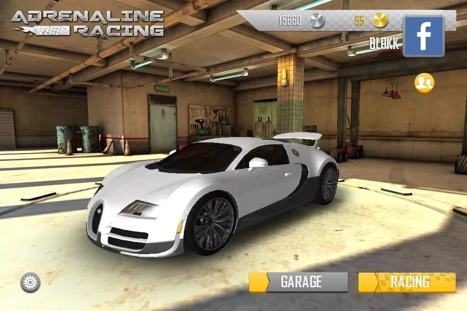 Screenshot di Adrenaline Racing
