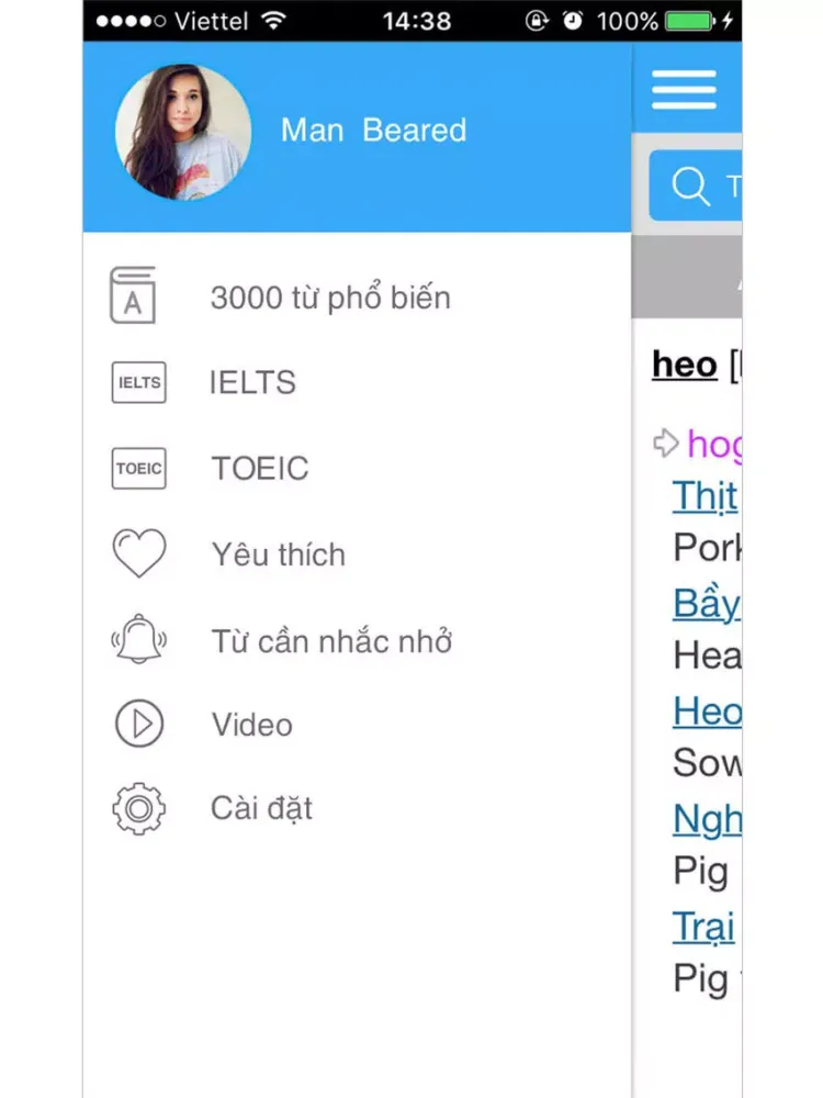 Tangkapan skrin Từ điển Anh - Việt - Anh iPad 