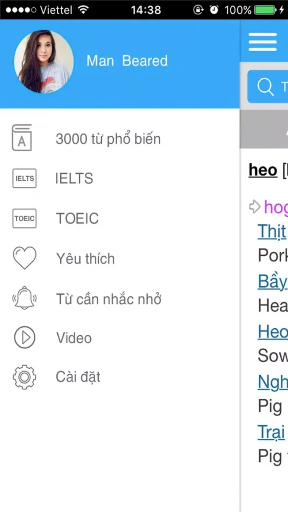 Tangkapan skrin Từ điển Anh - Việt - Anh