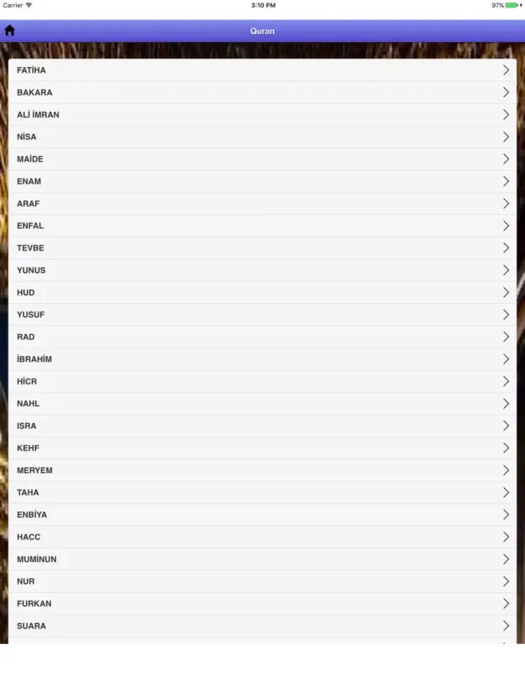 Kuran - Ali Bulaç versiyonu iPad 应用截图