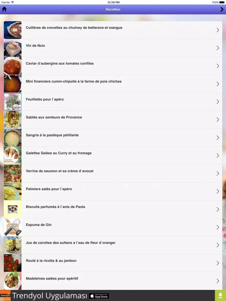 Recettes de Cuisine iPad  স্ক্রিনশট