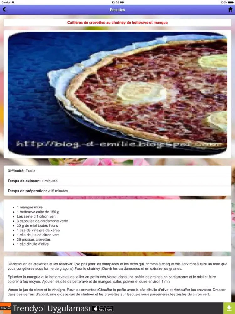 Recettes de Cuisine iPad  স্ক্রিনশট