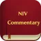 NIV Study Bible and Commentary