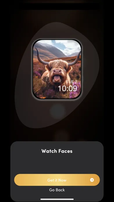 Watch Faces Gallery + Widgets Ekran Görüntüleri