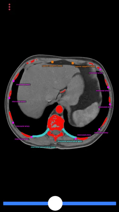 Capturas de tela do Biopsy Guide