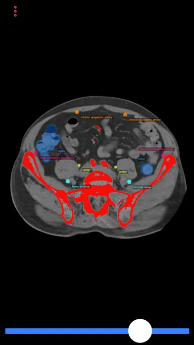 Capturas de tela do Biopsy Guide