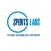 Sports Labs Pitch Rater