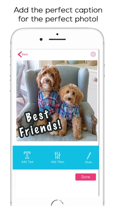 Slideshow Maker with Music Fun سکرین شاٹس